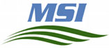 MSI
